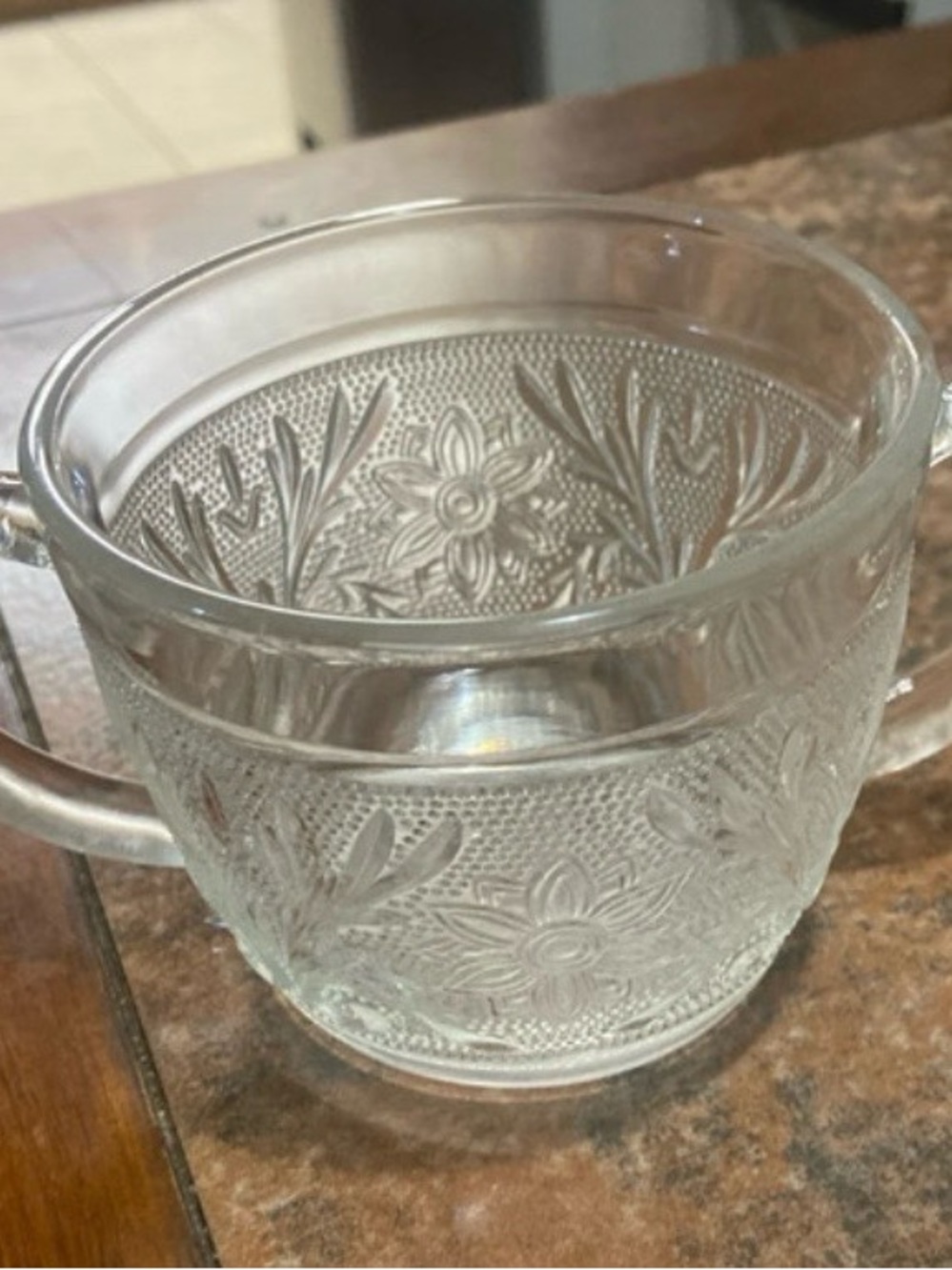 Clear Glass Floral Embossed Double-Handled Cup